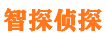 和龙侦探公司